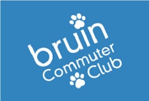 BCC 300x200