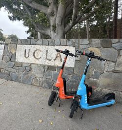 Bird scooters next to UCLA sign