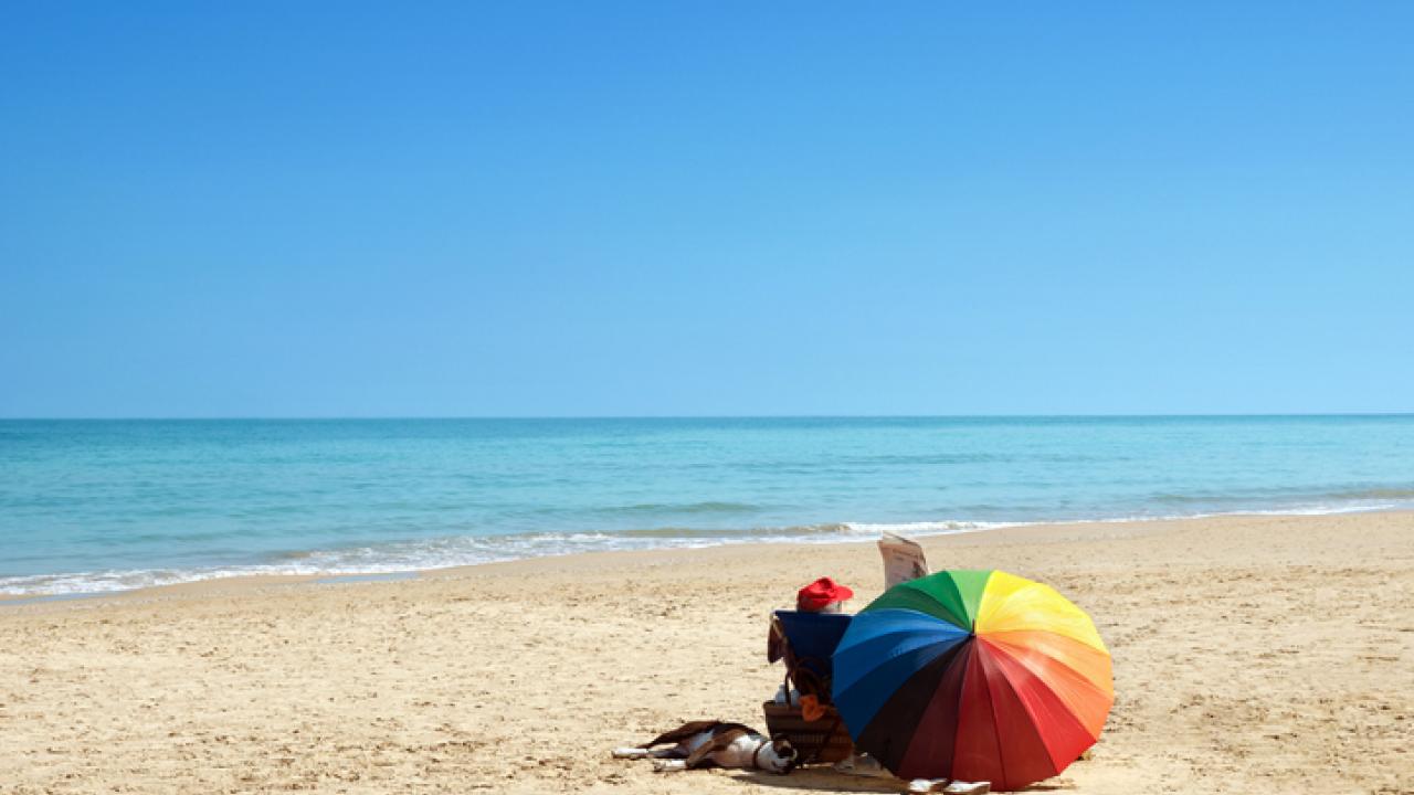 Reading the paper at the beach