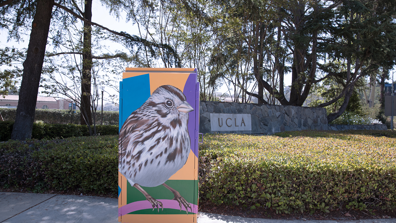 Bird art on traffic signal control box