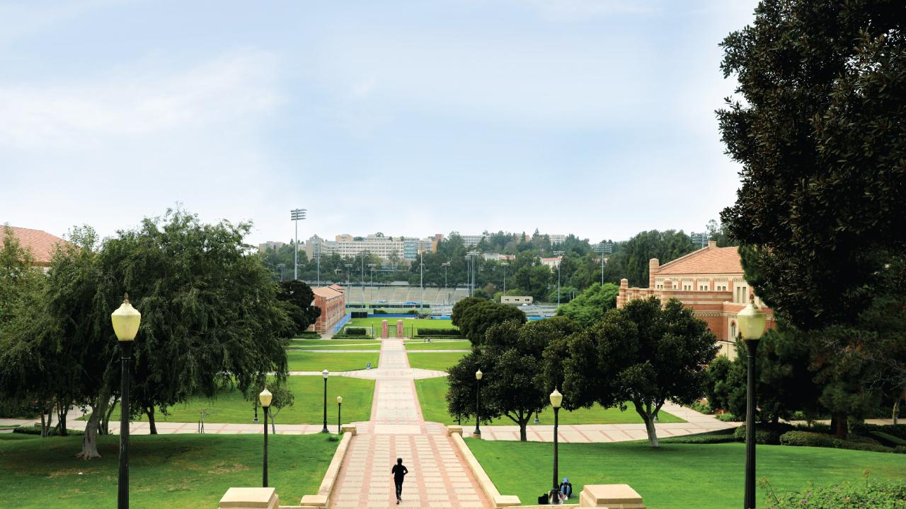 Aerial view Janss Steps