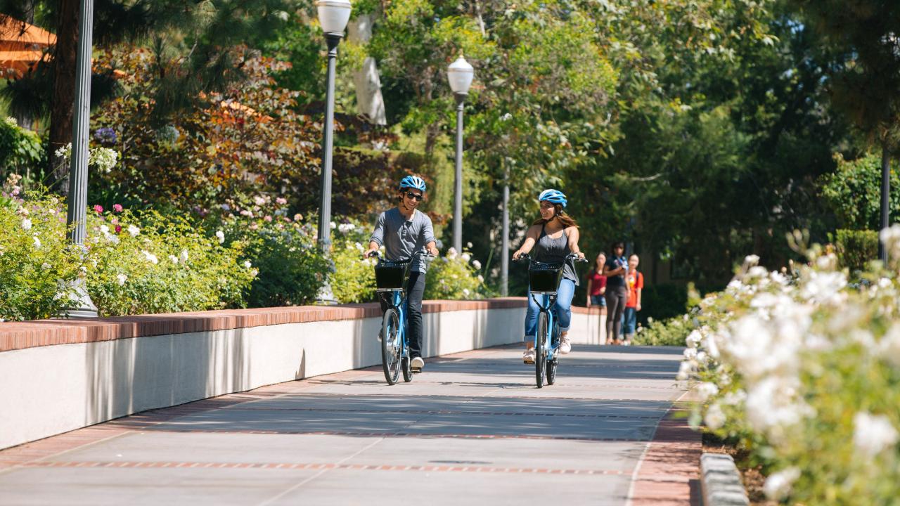 Bike riders on campus
