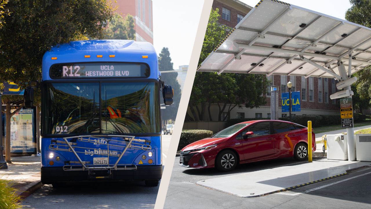 Bus and EV