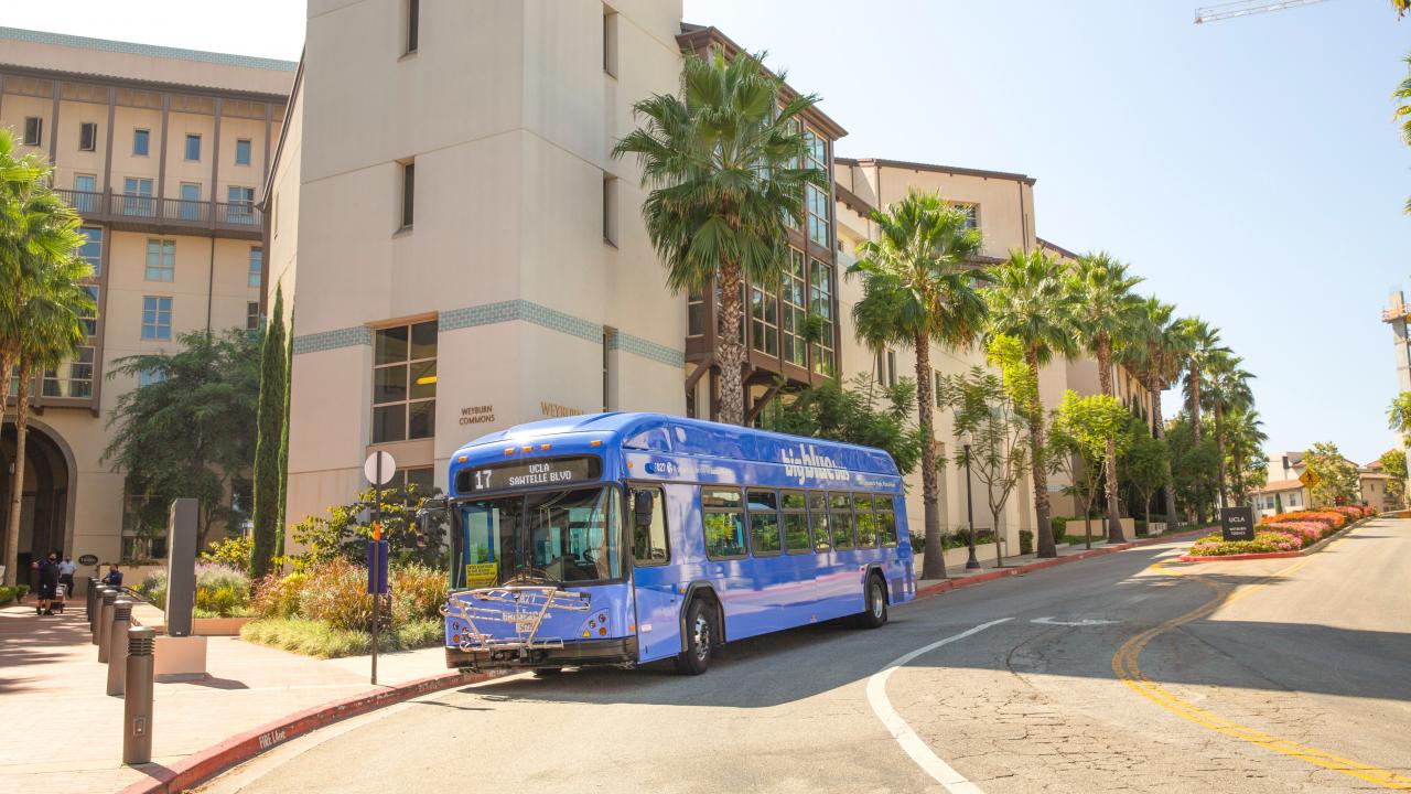 Big Blue Bus at UCLA