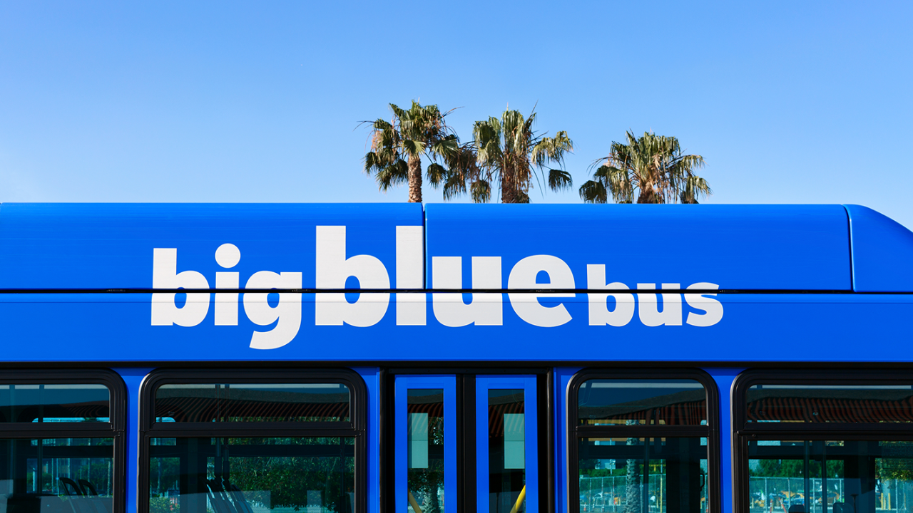 Big Blue Bus and palm trees