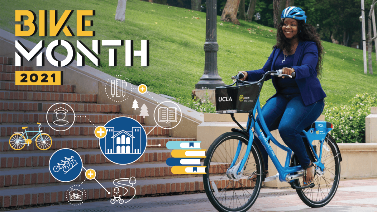 Bruin Riding a Bike