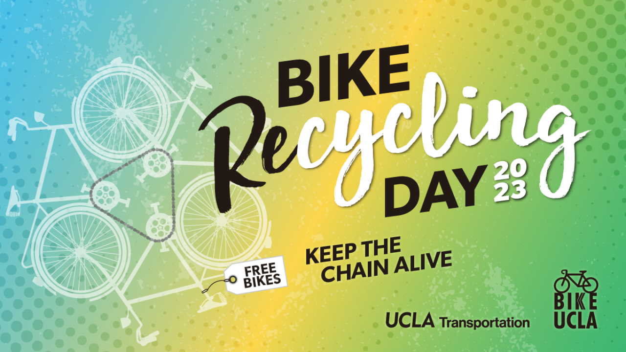 Bike Recycling Day