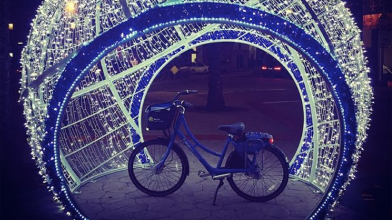 Bruin Bike Share Holiday