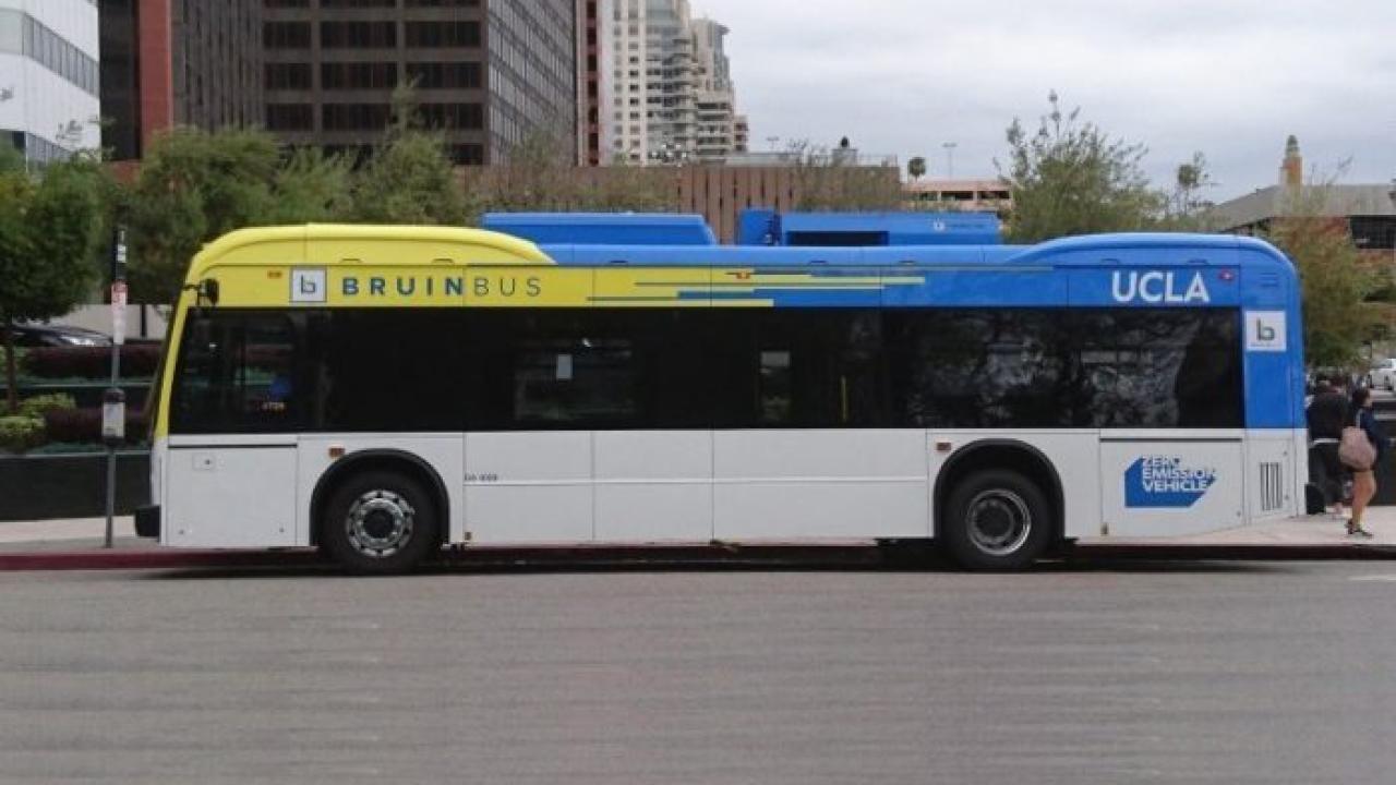 BruinBus