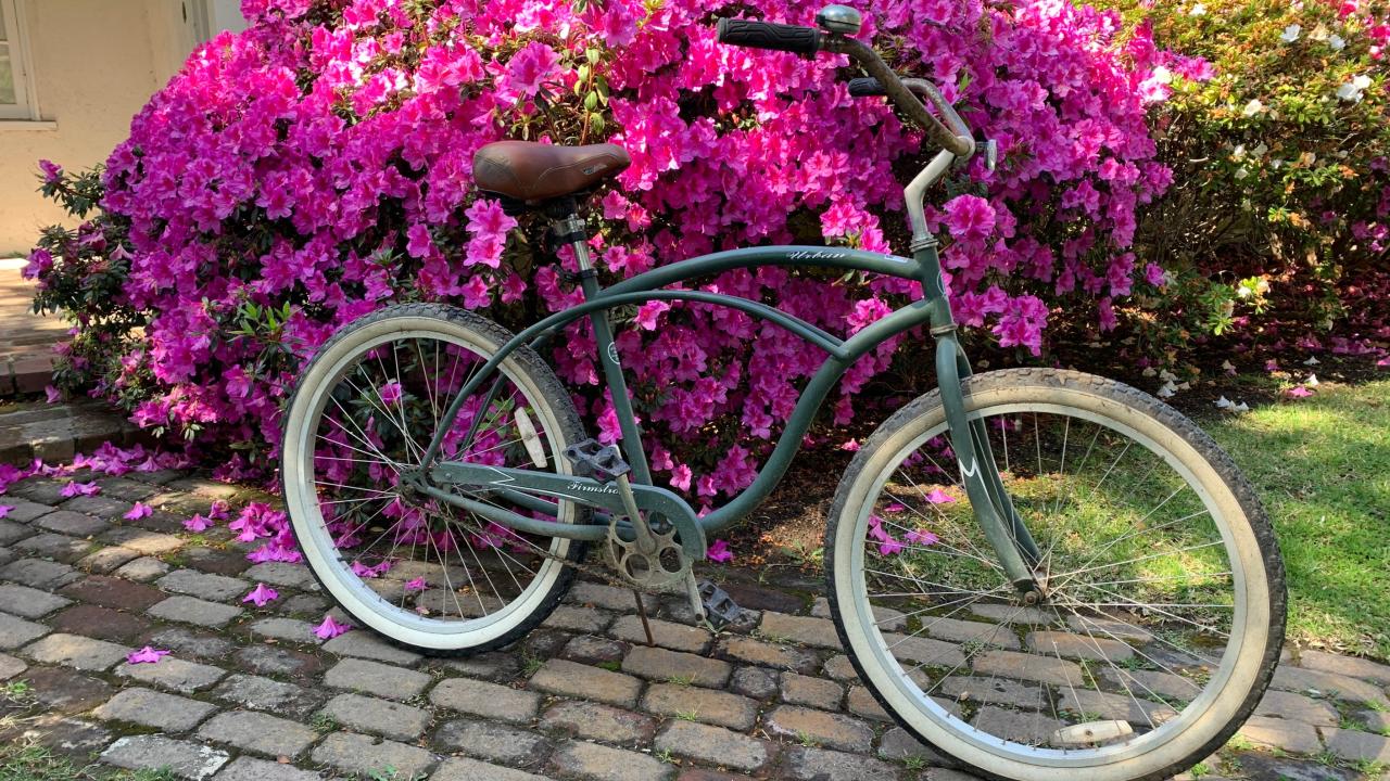 Bike among flowers