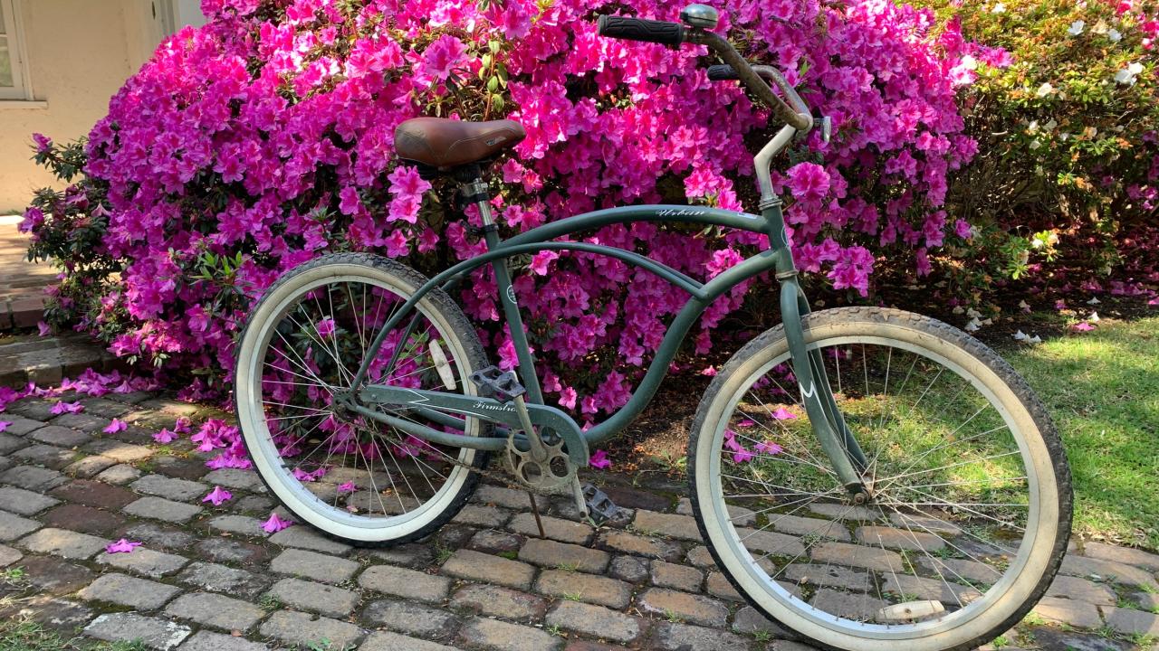 Bike among flowers