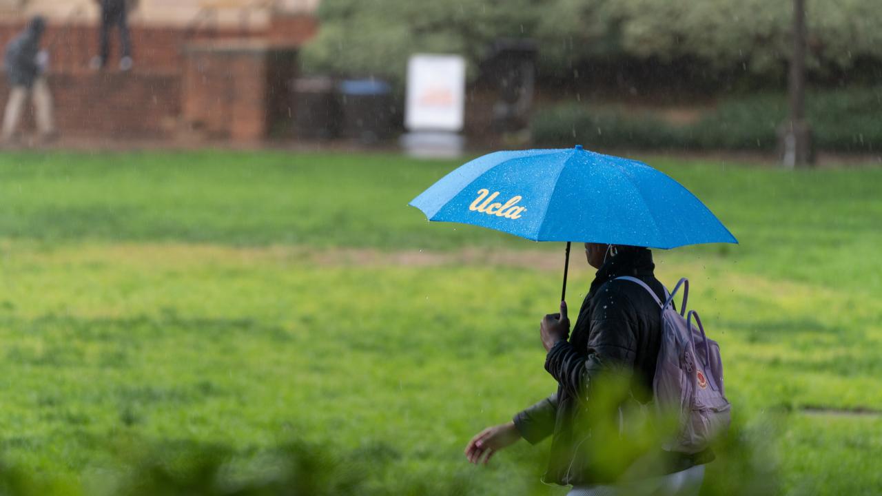 Person with an umbrella walking on campus in the rain.
