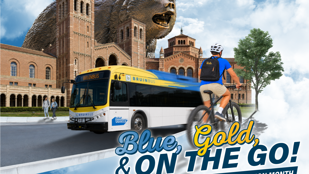 Blue, Gold, & on the go!