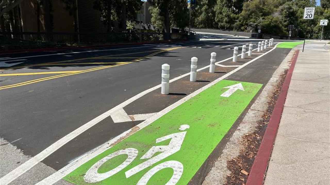 Westholme Ave. bike lane