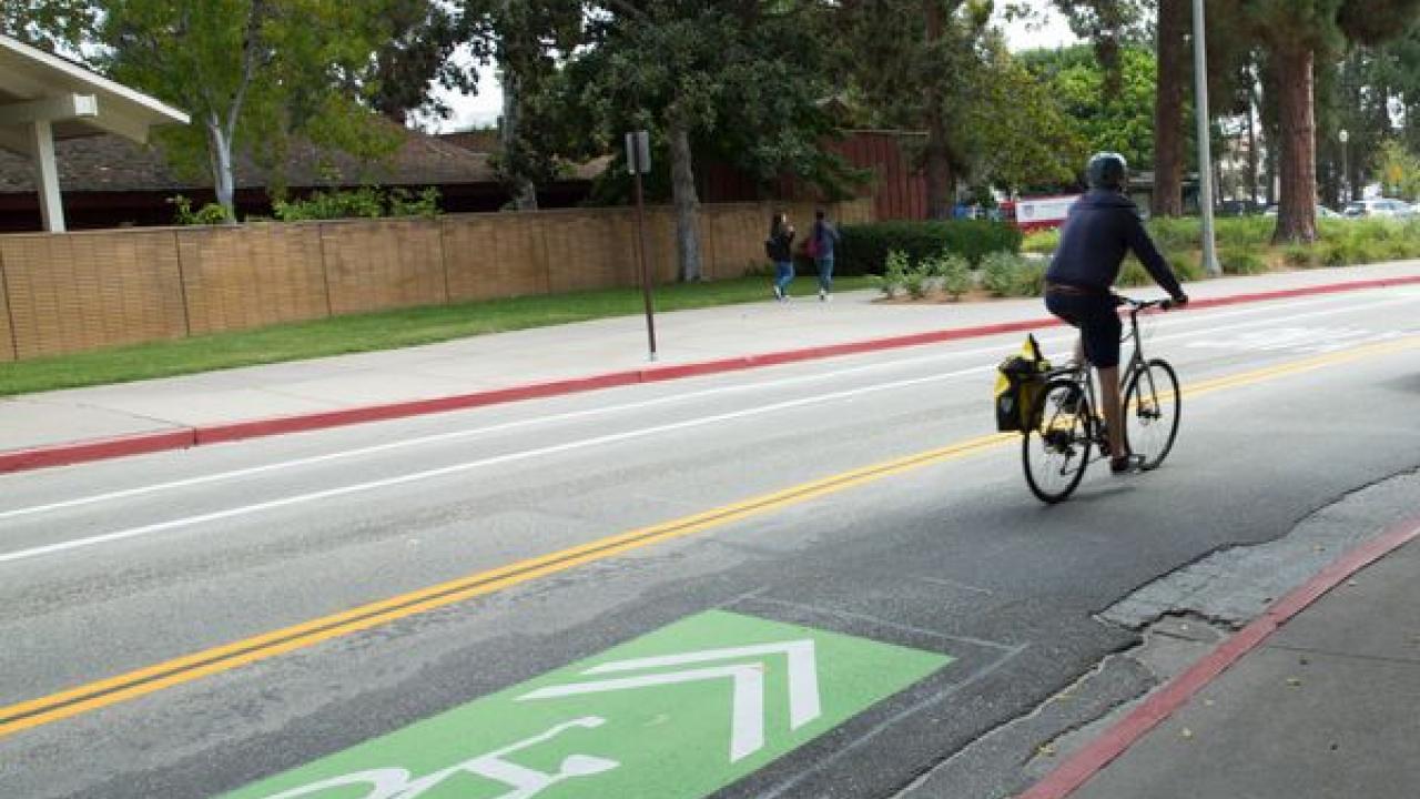 Cyclist Biking along UCLA's Bike Routes