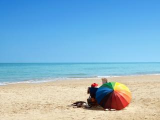 Reading the paper at the beach