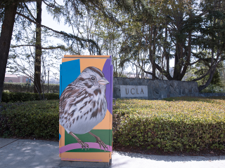 Bird art on traffic signal control box