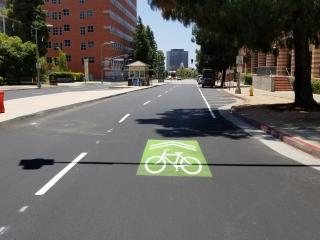 Bike lane on campus