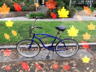 Bike with Fall Leaves