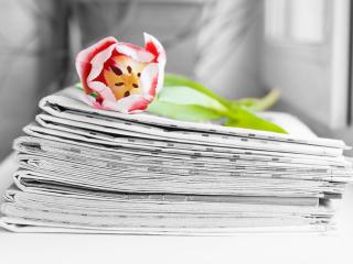 Flower and stack of newspapers
