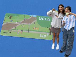 Bruin U-Pass + riders
