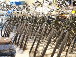 Array of bikes inside UCLA's Bike Shop