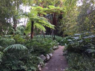 UCLA botanical garden